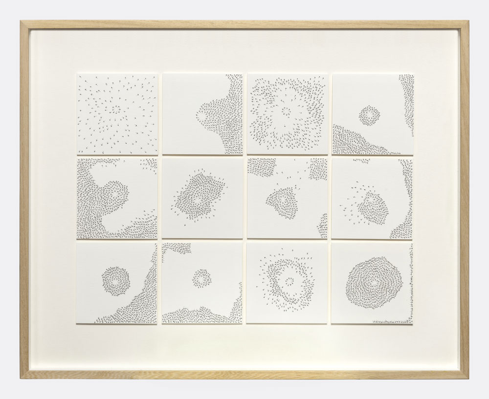 Blooming system 12 (II), 2019